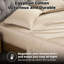 Ensemble de taie d'oreiller de luxe en coton à densité de tissage 400 fils Cassius-975657327-975657303