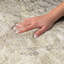 Tapis grain de bois de qualité supérieure lavable à la machine Dream Shag ADS713-1167069049-1167069055