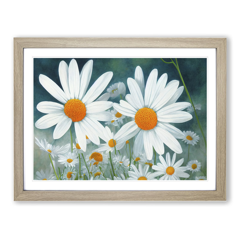 Daisy Flower Vol.1 - Framed Print, 46cm H x 64cm W x 2cm D, Oak