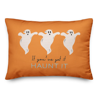  Housse et insert de coussin rectangulaire Got It Haunt It