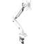 ONKRON Single Screen Desktop Mount