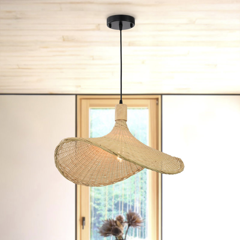 Luminaire suspendu noir 1 lumière Hofstade