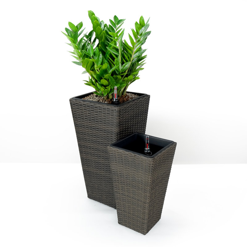 Ensemble de 2 pots à fleurs en osier tissé à la main Conrail