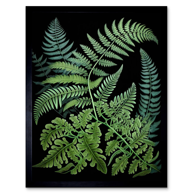 Fern Fronds Ernst Haeckel Style Dark Illustration - Single Picture Frame Print