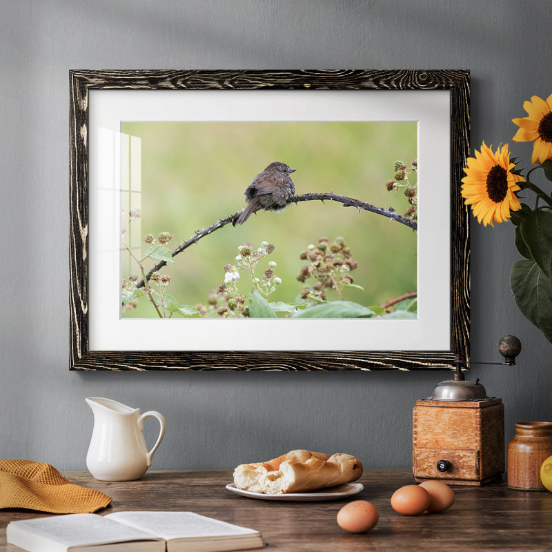 " Resting Sparrow ", H 22 po x l 32 po x P 1,5 po, Noir