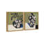 Noir Vase Set Set by Oliver Gal-922575343-957020589