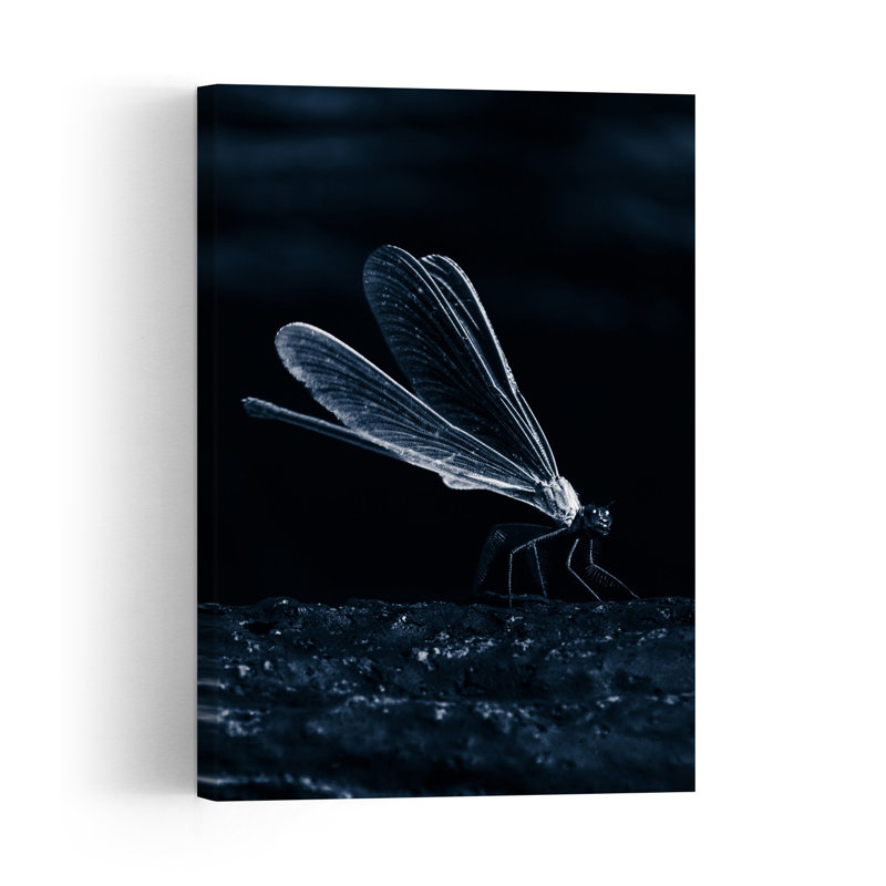 Dark Dragonfly Wings Dramatic Elegant Ethereal Dragonfly Nature Wildlife Wall Art Print 1 Piece Wrapped Canvas Wall Art