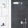 Euphoria® Cosmopolitan Handheld Shower Head with DreamSpray