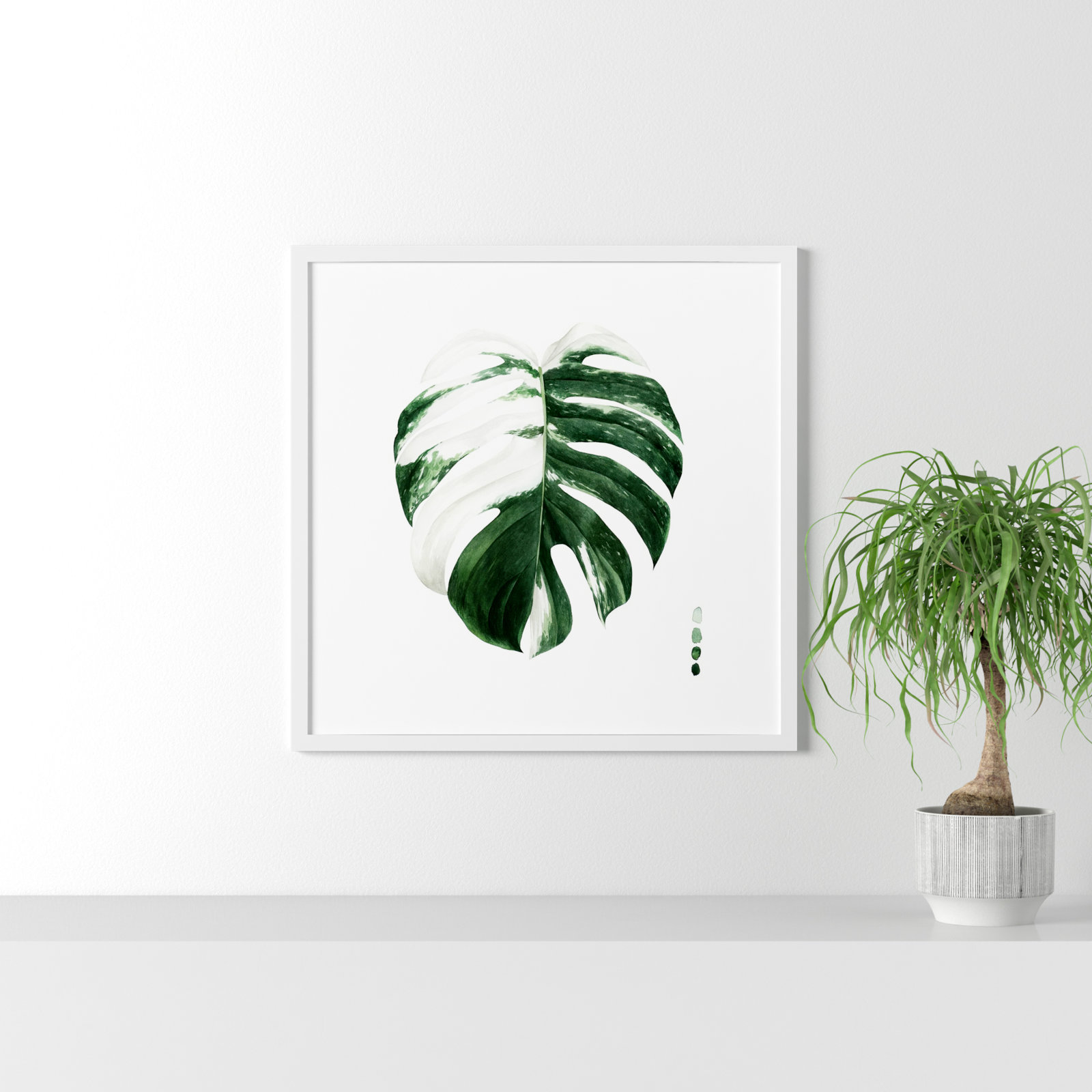 Variegated Monstera II Print by Grace Popp, White Framed Paper, 19.38" H x 19.38" W x 0.88" D