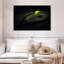 Tennis contemporain-144707460-144707458