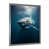 Silver Single Picture Framed