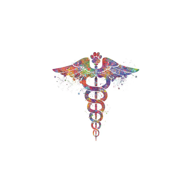 «Caduceus Vet Paw» - Impression, Toile tendue, H 48 po x l 32 po x P 1,5 po