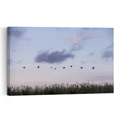 A Swedish Summer 7 Peaceful Serene Tranquil Bird Goose Nature Sunrise Wall Art Print 1 Piece Wrapped Canvas Wall Art