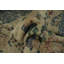 Tapis turc rétro vieilli 4 x 6