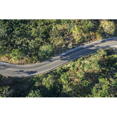 Road in a Forest - Photographie sur toile tendue