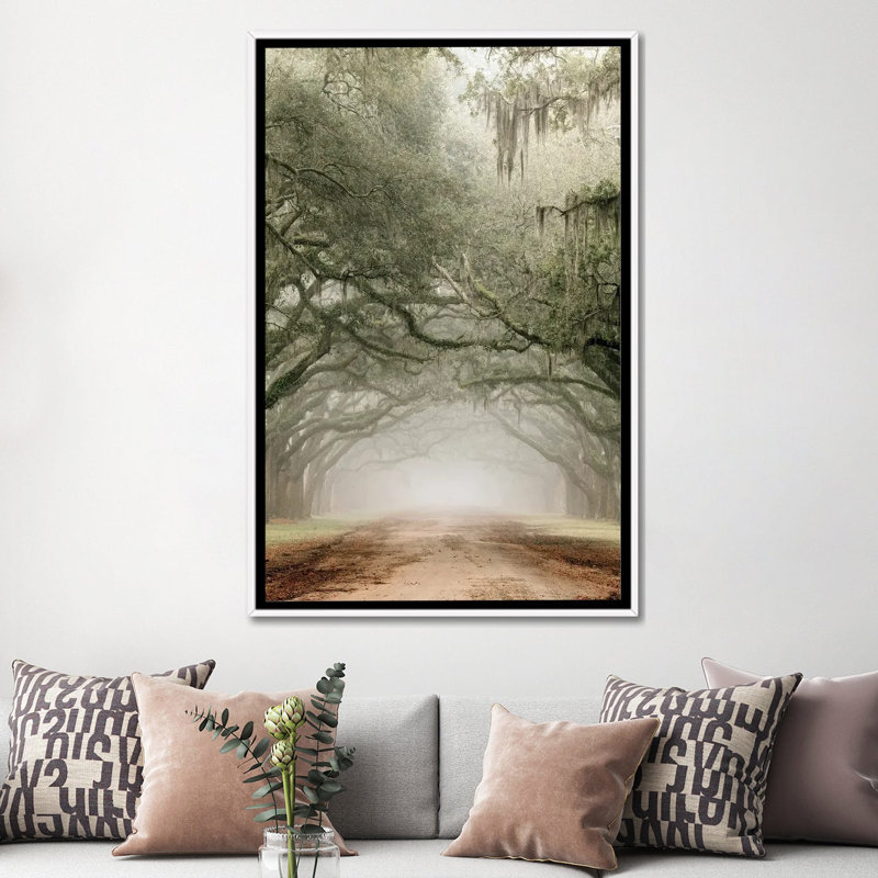 Plantation Drive, White Floater Framed Canvas, 60" H x 40" W x 1.5" D