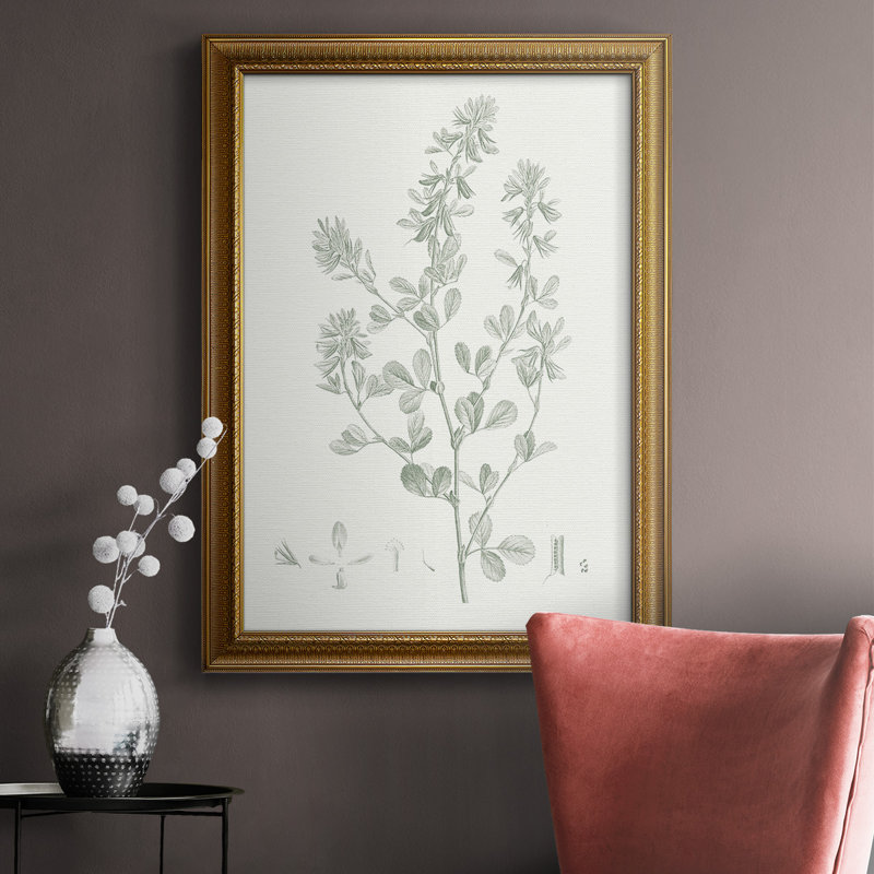 «Botanical Study In Sage VIII», toile encadrée de qualité supérieure - prête à être accrochée, H 20 po x l 16 po x P 2,5 po
