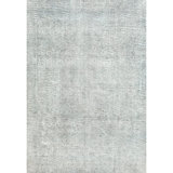 ZIVNVIZIGGY00 Wool Area Rug in Gray