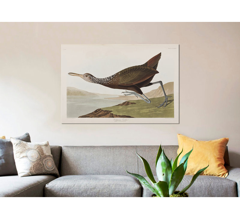 « scolopaceus courlan », impression sur toile, H 26 po x l 40 po x P 1,5 po, Toile tendue, Non mat