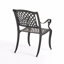 Chaises de salle à manger d'extérieur en fonte noire (ensemble de 2)