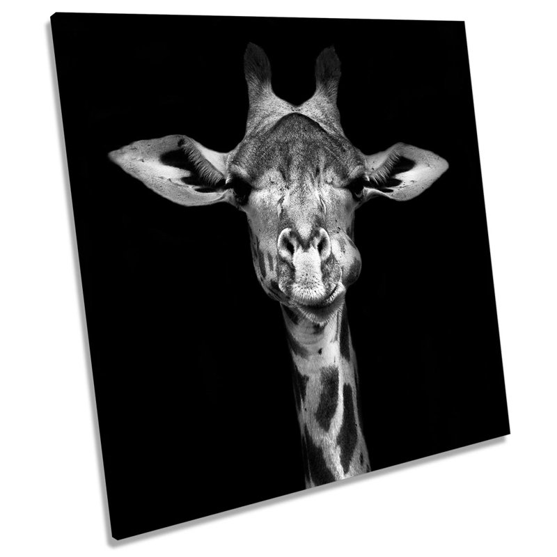 Z1611 Giraffe Face - Wrapped Canvas Painting, 76.2cm H x 76.2cm W x 4cm D