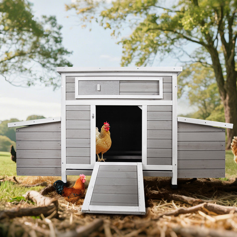 Grand poulailler en bois pour l'extérieur, H 30,55 po x l 33,86 po x P 57,87 po, Gris