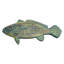 Poisson truite moucheté - jaune patiné