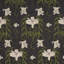 Schumacher X Backdrop Lady Lilith Wallpaper-1855982344
