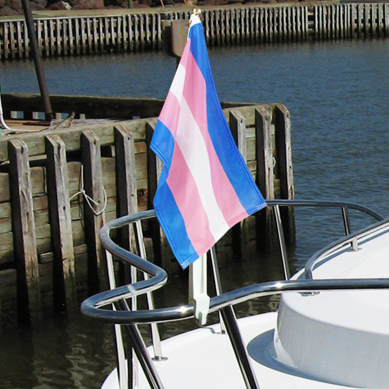 Paquet de 12 mini-drapeaux Anley Transgender