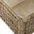 Ammann Wicker Trunk-198042679-149081877