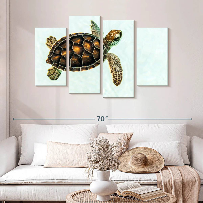Baby Turtle