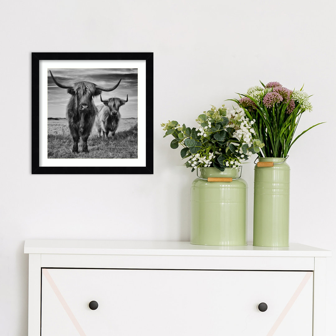 Highland Cow Couple by Stephane Pecqueux Wood Framed Wall Art Print Union Rustic Frame 