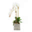 Orchid Faux Floral Arrangement in Pot