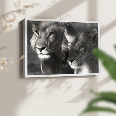 Lion et lionne - reproduction encadrée - réarmable
