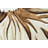 Baity Performance Floral Indoor Rug-856144699