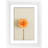Picture Frame - Set of 6 with Mat-79322730