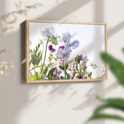 Spring Blooms -Framed Print - Restickable