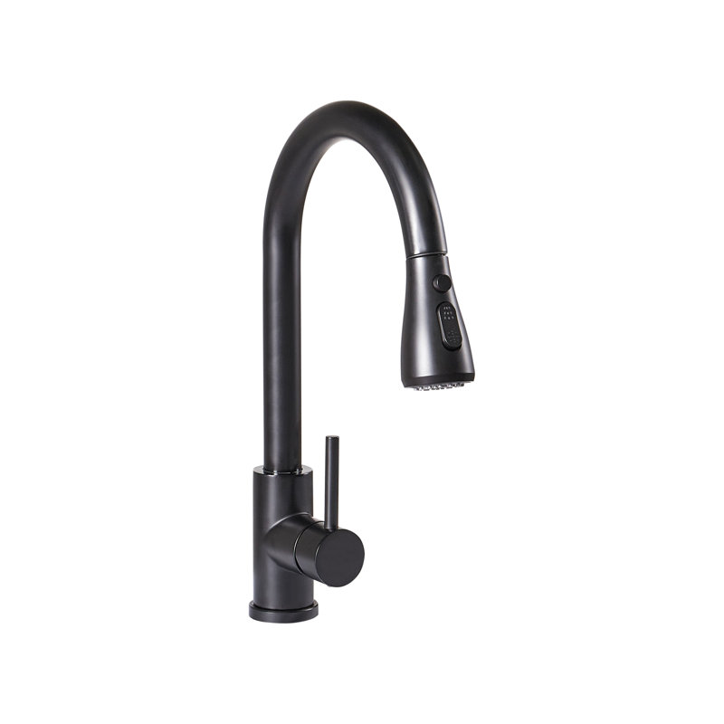 Belfry Kitchen Kitchen Faucet, Matte Black
