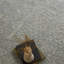 Geometric Area Rug in Blue/Cream-690197651