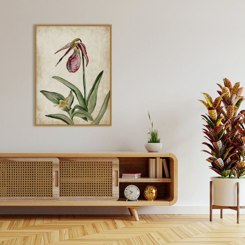 «Elegance Unveilé II» par Jacob q, reproduction d'art sur toile encadrée, H 42 po x l 32 po