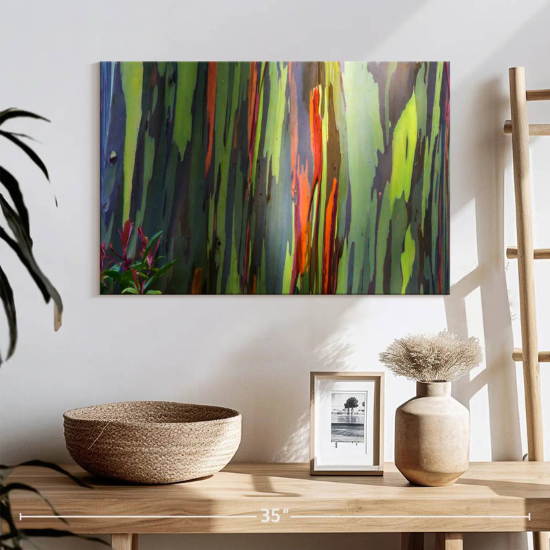 Harnek Rainbow Eucalyptus Bark, 16" H x 24" W
