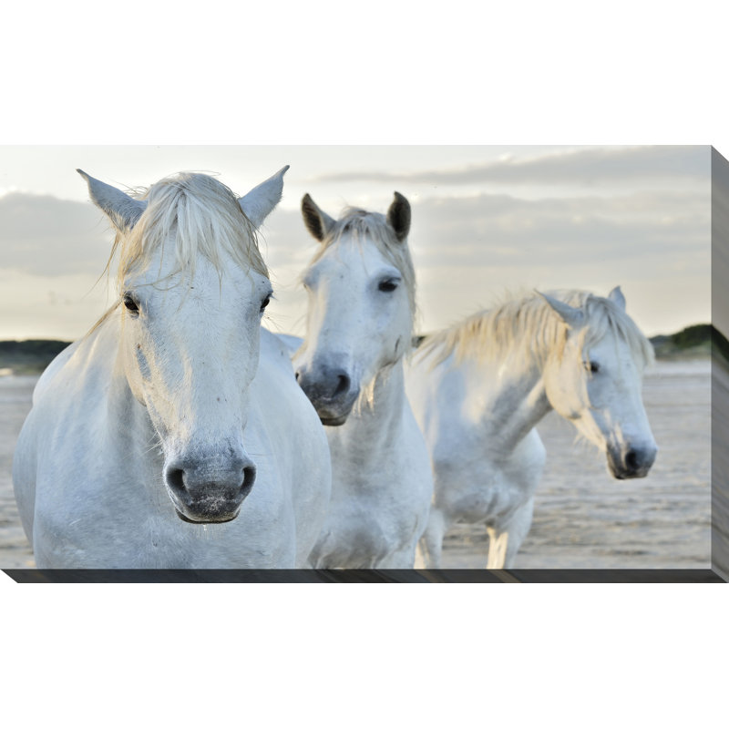« white horses », reproduction de photo sur toile tendue, H 18 po x l 30 po x p 1 po