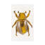 Beatle Bath Rug-1613435354