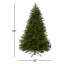 Sapin de Norvège-1582473068