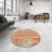 Southwestern Indoor Rug-1680364656