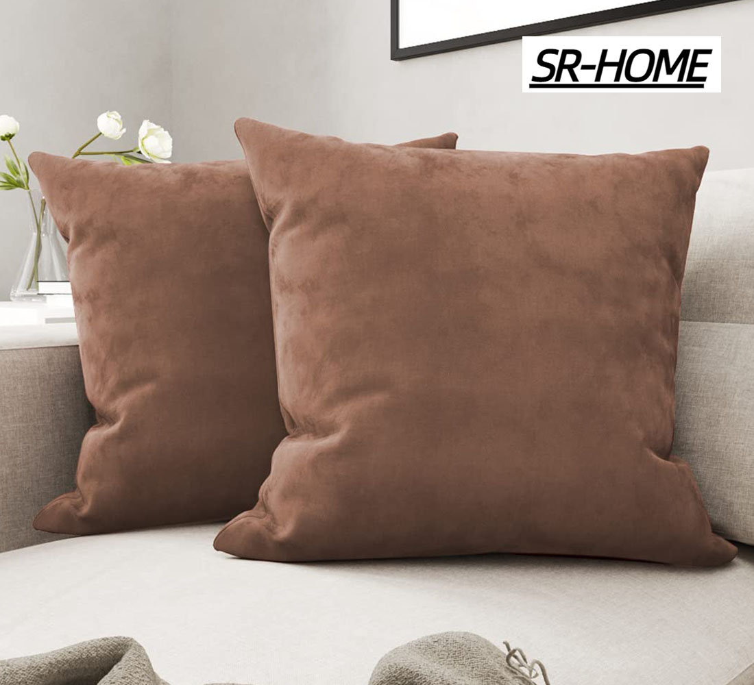 https://assets.wfcdn.com/im/10934714/compr-r85/2338/233898292/velvet-pillow-cover.jpg