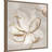 " Transparent Beauty II " by Eva Watts-2067623117