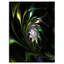 « green teinté vitrail », impression-1050778781-1045128339