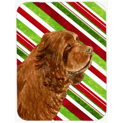 Planche à découper en verre de noël caroline de canne à sucre Sussex Spaniel