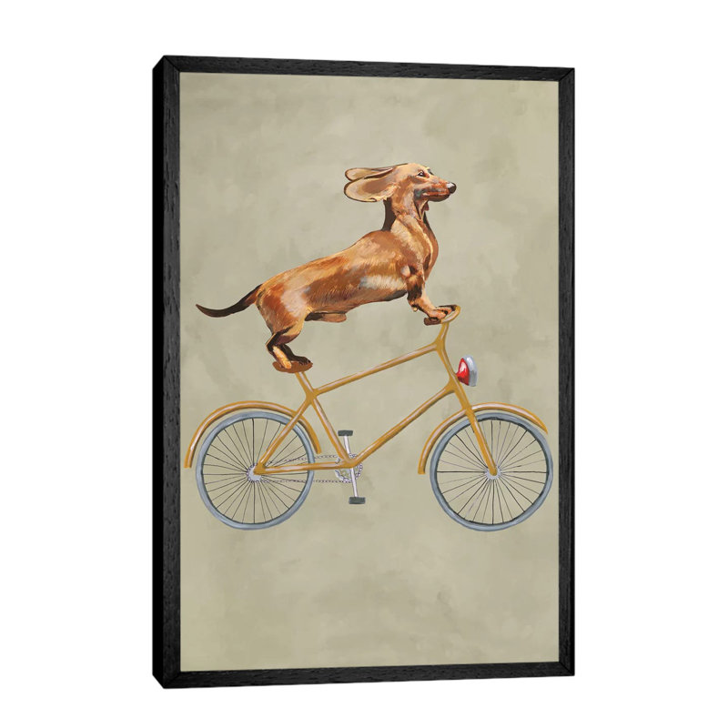 Dachshund On Bicycle I by Coco De Paris - Print on Canvas, 101.6 cm H x 66.04 cm W, Black Framed